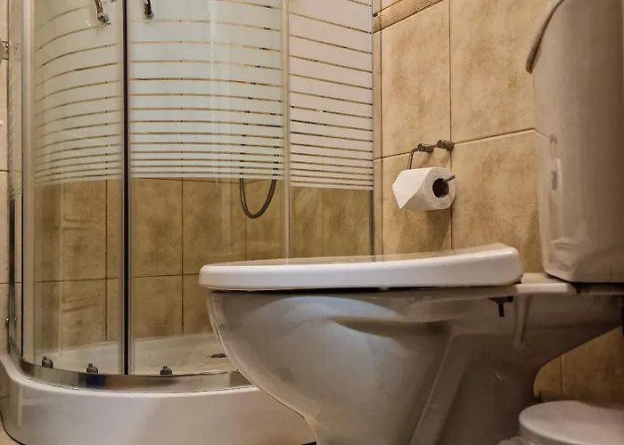 Relaxing In Kosara Near Lift By Flat Mаnager *